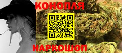 мдпв Аргун