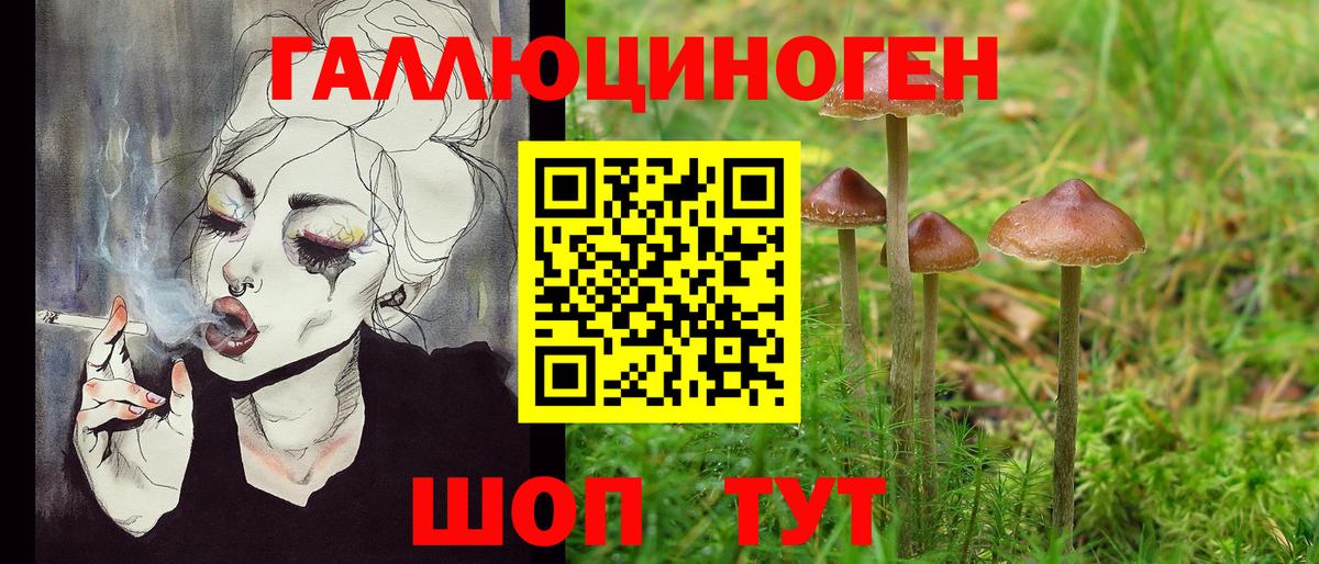 Псилоцибиновые грибы прущие грибы  Вход с VPN  Белогорск 
