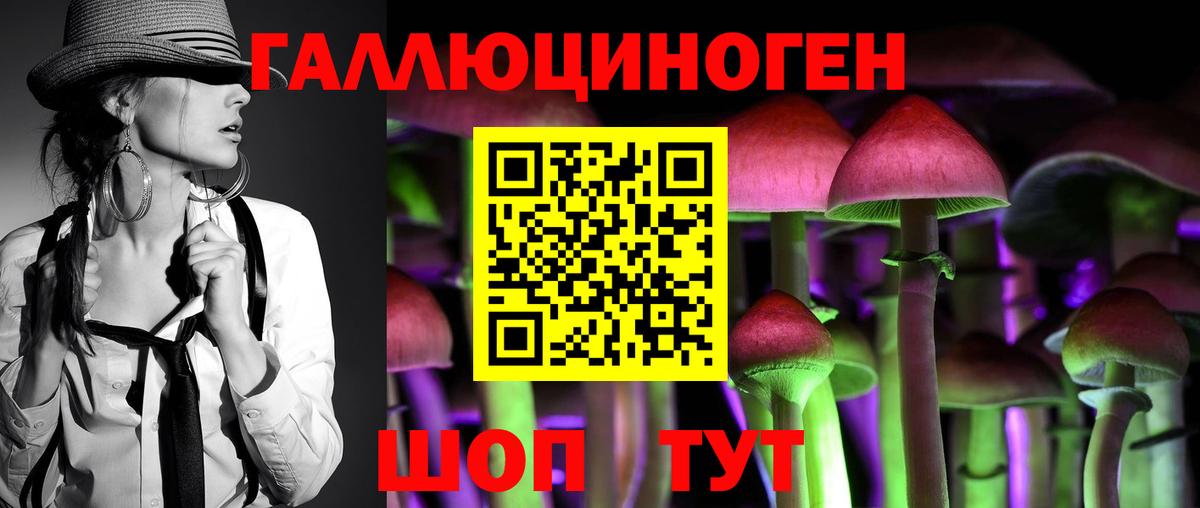 Галлюциногенные грибы Psilocybe Белогорск